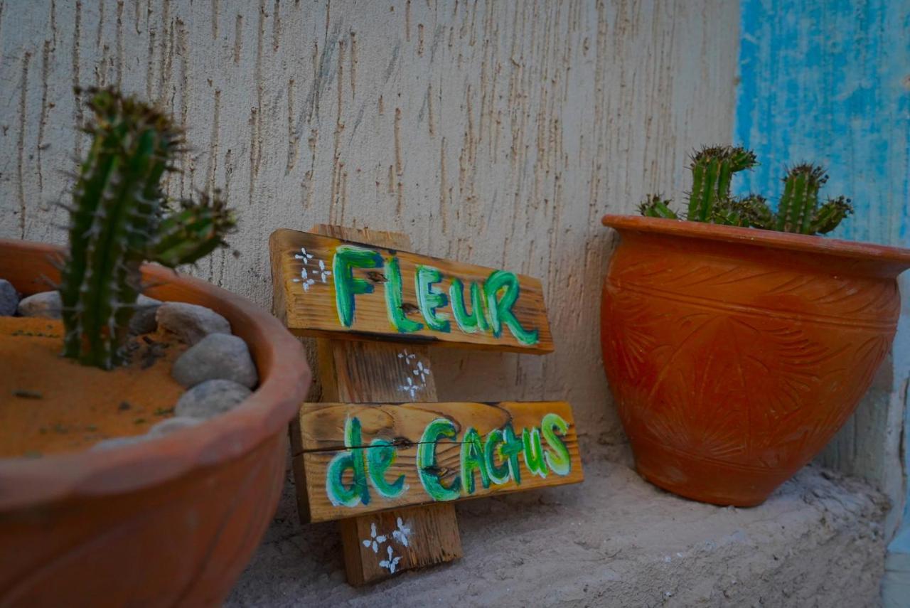Fleur De Cactus, Guesthouse, Tamraght Exteriör bild